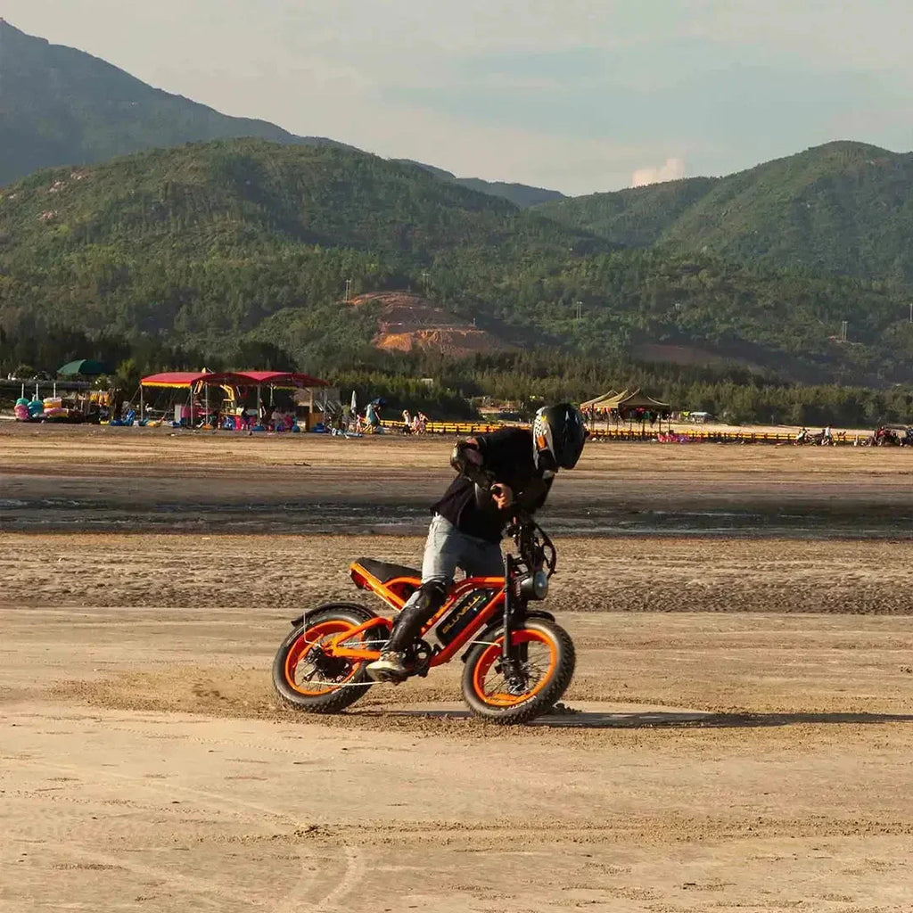 Bluvall SU8 Electric Bike