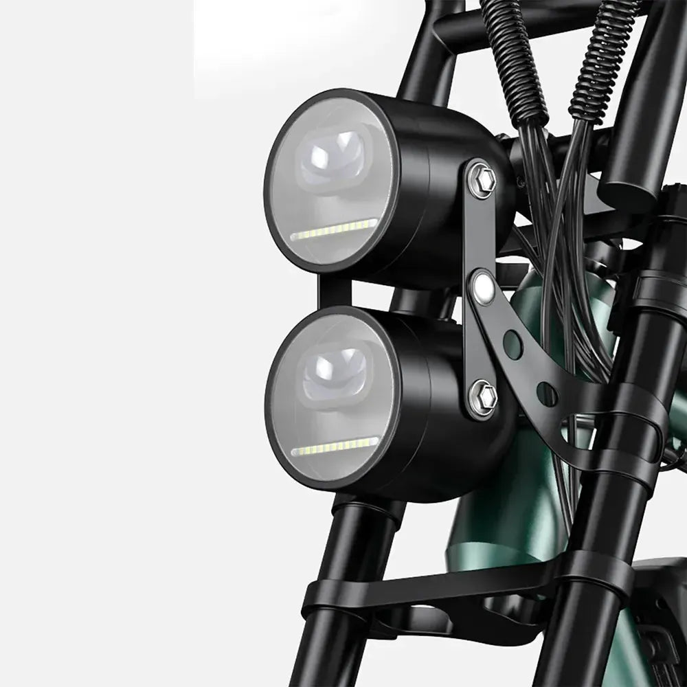 Engwe M20 Dual-Battery Electric Bicycle