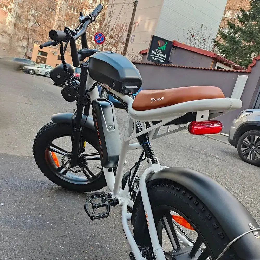 Engwe M20 Dual-Battery Electric Bicycle